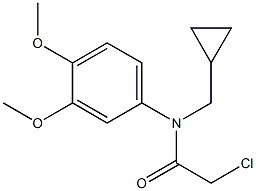 2-chloro-N-(cyclopropylmethyl)-N-(3,4-dimethoxyphenyl)acetamide 结构式