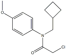 2-chloro-N-(cyclobutylmethyl)-N-(4-methoxyphenyl)acetamide,1397217-43-4,结构式