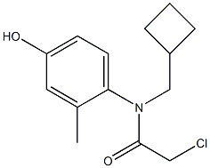 1397223-44-7 2-chloro-N-(cyclobutylmethyl)-N-(4-hydroxy-2-methylphenyl)acetamide