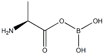 L-Alanine, monoanhydride with boric acid (H3BO3) (9CI) Structure