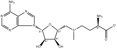 (±)-(5'-Adenosyl)[(R)-3-amino-3-carboxylatopropyl](methyl)sulfonium 结构式