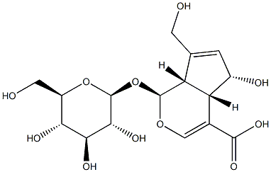 (1S,4aS,5S,7aS)-1-(b-D-Glucopyranosyloxy)-1,4a,5,7a-tetrahydro-5-hydroxy-7-(hydroxymethyl)cyclopenta[c]pyran-4-carboxylic acid|去乙酰基车叶草苷酸