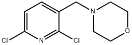 4-[(2,6-Dichloropyridine-3-yl)methyl]mopholine Struktur