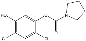 1-Pyrrolidinecarboxylic acid 2,4-dichloro-5-hydroxyphenyl ester Structure