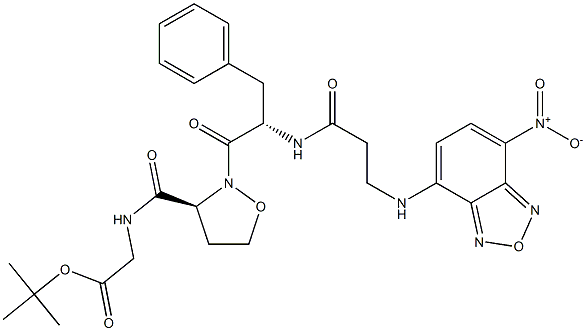 S 4404 Structure