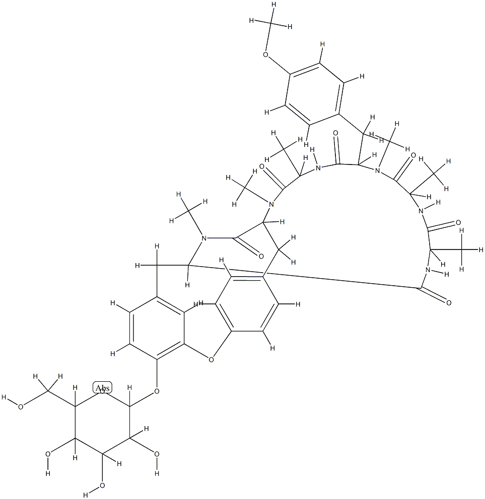 RA XII Structure