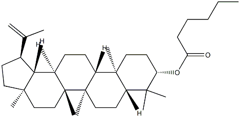 Cynanester A Structure