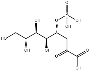 143651-48-3 3-deoxy-2-octulosonate-4-phosphate