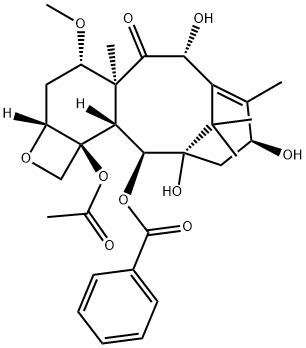 10-Deacetyl-7-Methyl Baccatin III|1444818-14-7