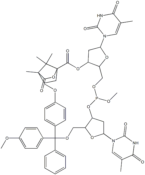 3'-O-(5'-dimethoxytritylthymidyl)-5'-O-(3'-camphanoylthymidyl)-O-methyl phosphite Structure