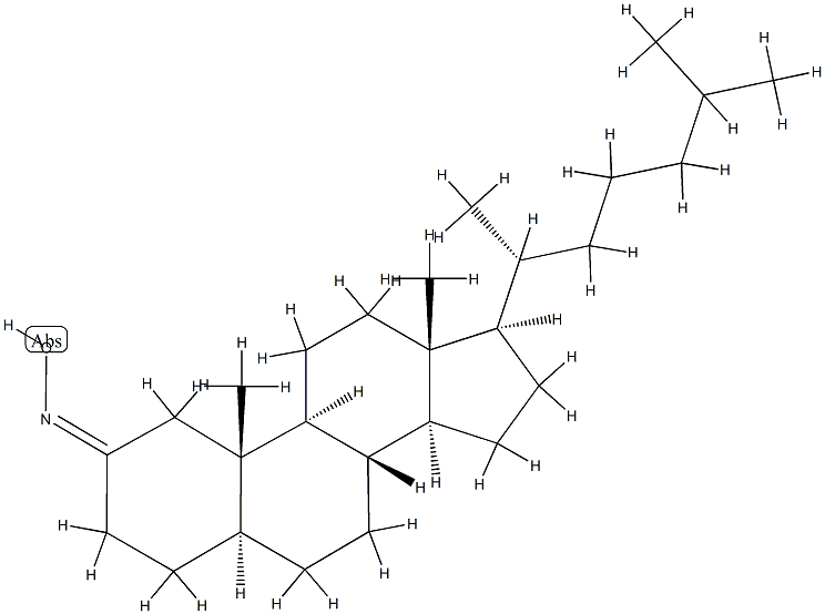 5α-Cholestan-2-one oxime|