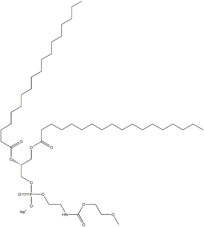 MPEG-2000-DSPE Structure