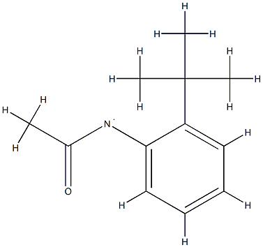 Amidogen,  acetyl[2-(1,1-dimethylethyl)phenyl]-|