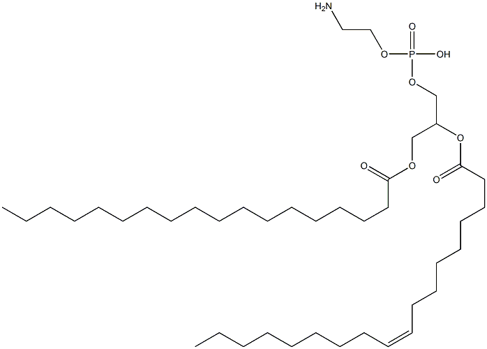 1-stearoyl-2-oleoylphosphatidylethanolamine