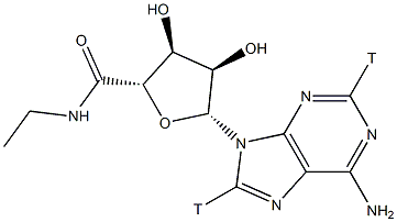 5'-N-ETHYLCARBOXAMIDOADENOSINE-(ADENINE& Struktur