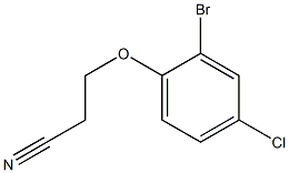 3-(2-bromo-4-chlorophenoxy)propanenitrile 结构式