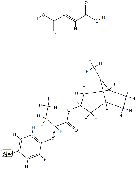 SM 21 Structure
