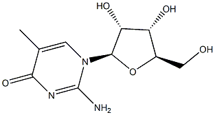 5-메틸이소시티딘