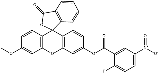 DSP-1 Structure