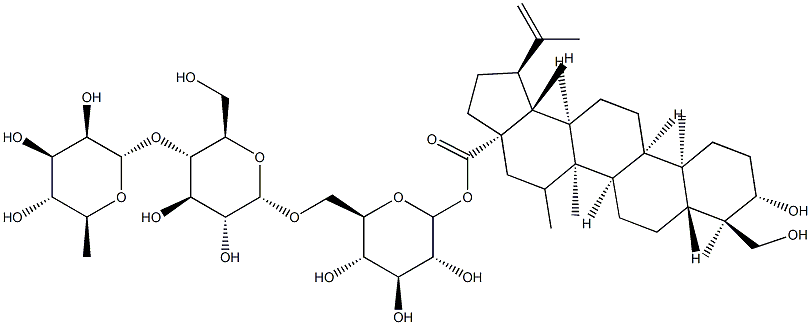  化学構造式