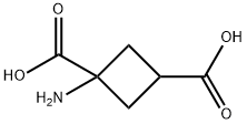 1,3-Cyclobutanedicarboxylicacid,1-amino-(9CI) Structure