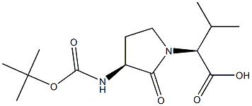 BOC-GLY-VAL FREIDINGER 内酰胺 结构式