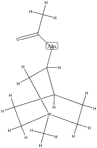 N-메틸아세클리딘