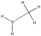 Methylsulfide anion 化学構造式