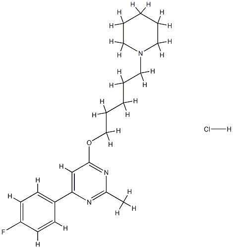 NS 7 Structure