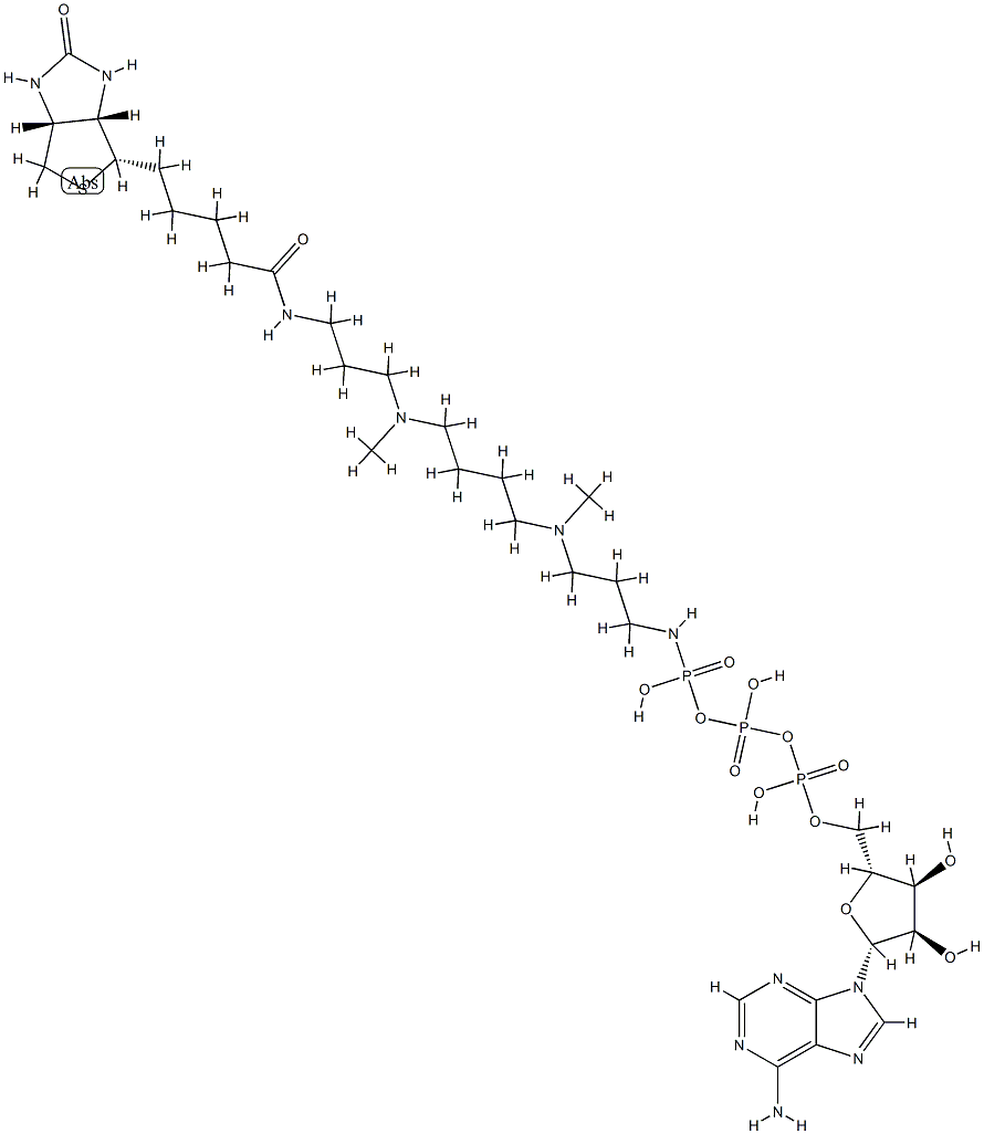 ATP-polyamine-biotin|1800401-93-7