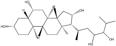 5α-Cholestane-3β,6β,16β,23,24-pentaol Structure