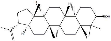 (21β)-A'-Neogammacer-22(29)-en-3α-ol|