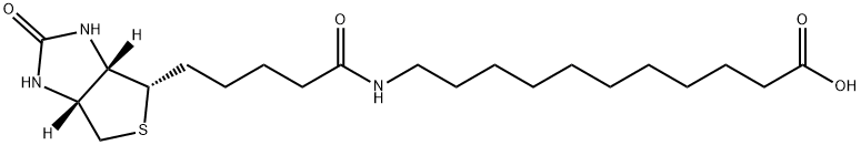 Biotin-SLC,1864003-57-5,结构式