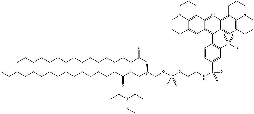 187099-99-6 荧光染料TEXAS RED-DHPE