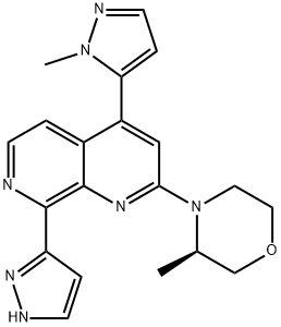 BAY-1895344 化学構造式