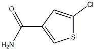 5-chlorothiophene-3-carboxamide,189330-09-4,结构式