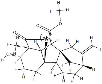 2β-ヒドロキシ-1-メチル-8-メチレン-4aα,1α-(オキシカルボニル)ギバン-10β-カルボン酸メチル 化学構造式