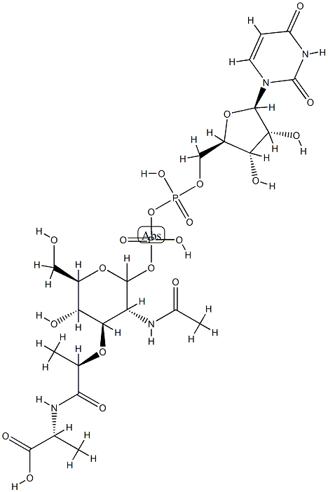 UDP-N-acetylmuramylalanine Structure