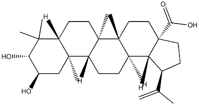 2α,3β-ジヒドロキシルパ-20(29)-エン-28-酸