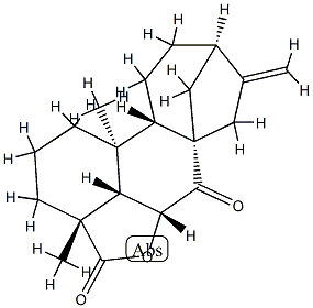 6α-Hydroxy-7-oxokaura-16-ene-18-oic acid lactone Struktur