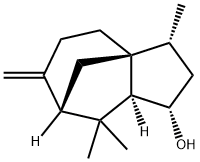 (1S)-2,3,4,5,6,7,8,8aβ-オクタヒドロ-3β,8,8-トリメチル-6-メチレン-1H-3aα,7α-メタノアズレン-1β-オール 化学構造式