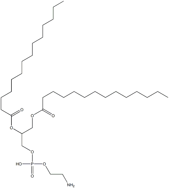 1,2-dimyristoylphosphatidylethanolamine|