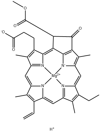 Protochlorophyllide|植物原脱植基叶绿素ELISA试剂盒