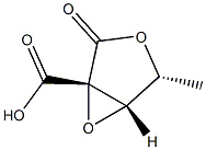 D-Lyxonic acid, 2,3-anhydro-2-C-carboxy-5-deoxy-, 1,4-lactone (9CI) Structure