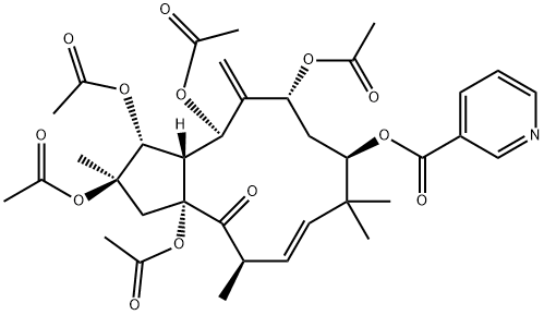 Jatrophane 1|麻风树烷 1