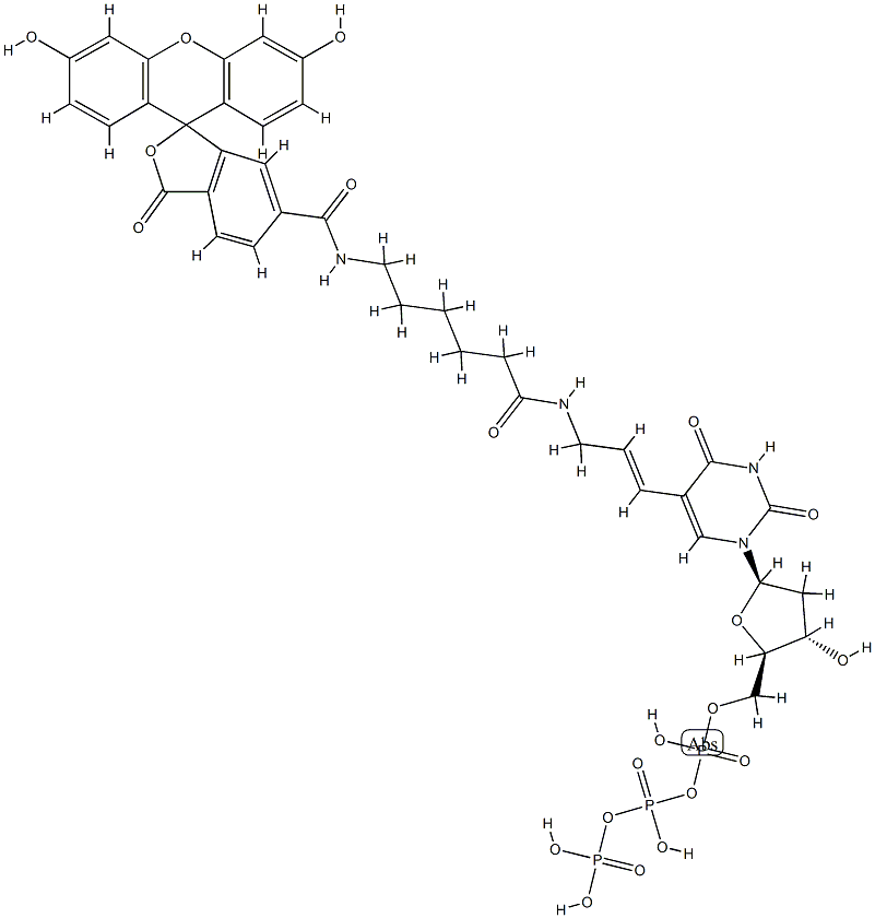 1MM FLUORESCEIN-DUTP溶液,214154-36-6,结构式