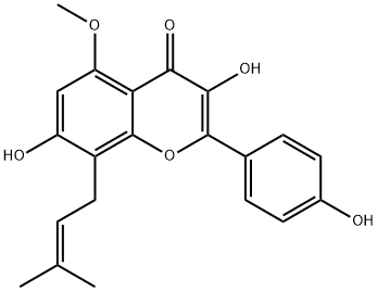 sophoflavescenol