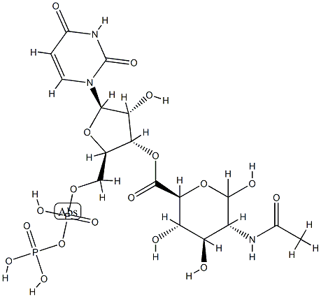 UDP-N-아세틸글루코사미누론산