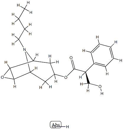 N-Butyl Nor ScopolaMine Hydrochloride 化学構造式