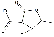 Pentonic acid, 2,3-anhydro-2-C-carboxy-5-deoxy-, 1,4-lactone (9CI)|